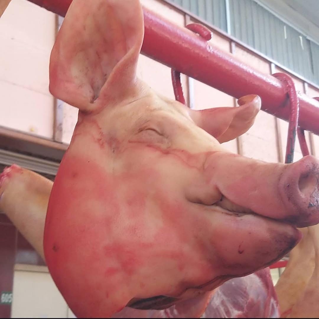 Голова свиная от 6кг