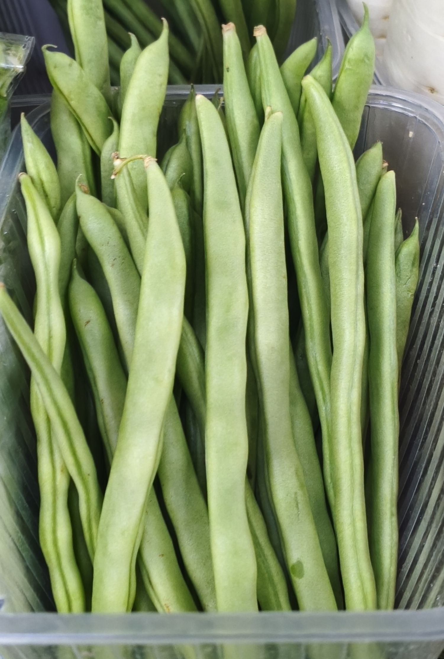 Стручковая фасоль. Цена указана за 1кг