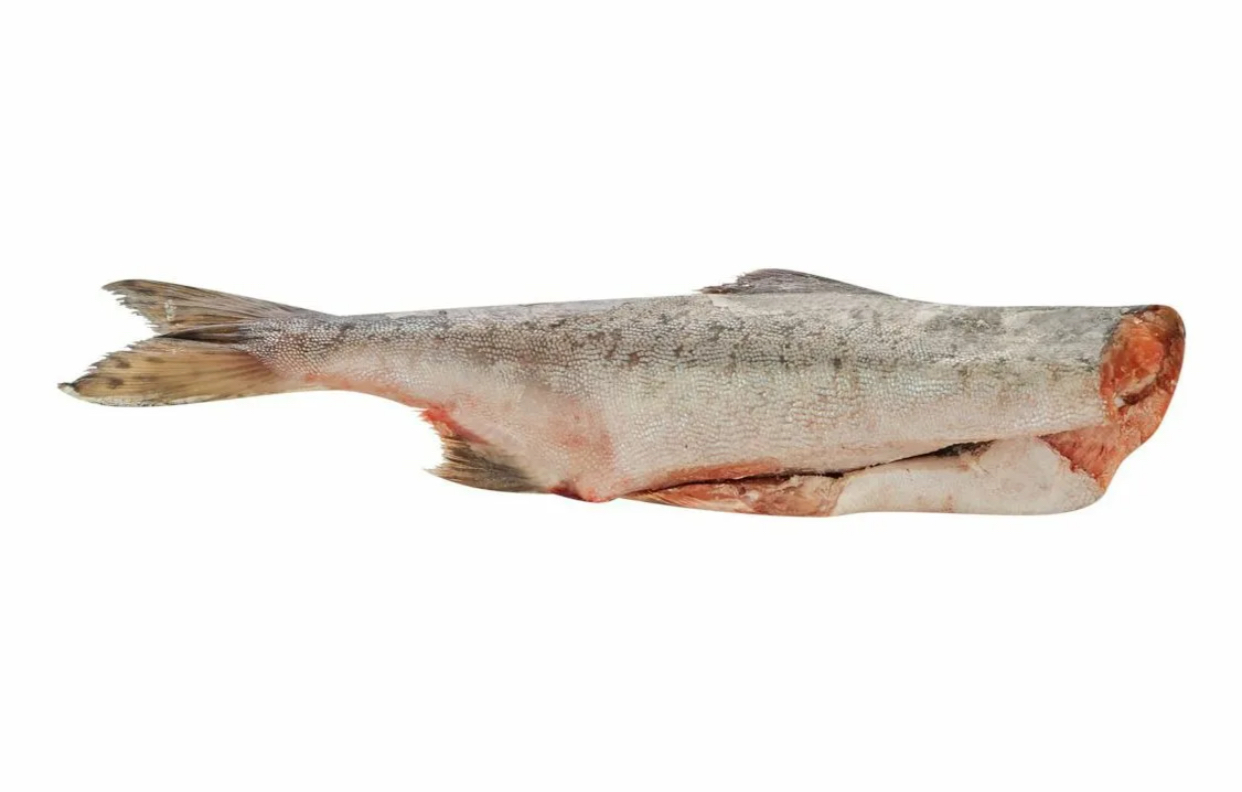 Горбуша свежезамороженная