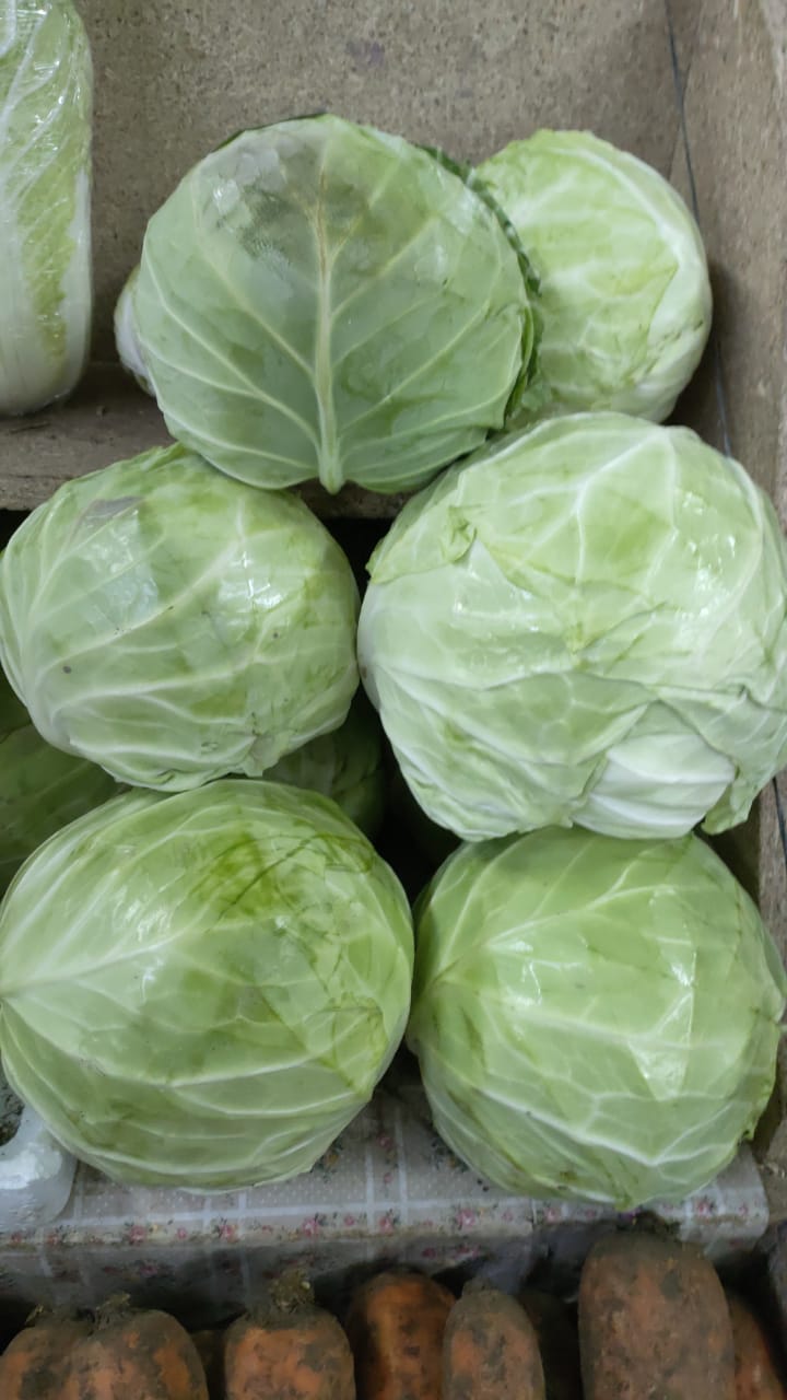 Капуста белокочанная. Цена указана за 1кг