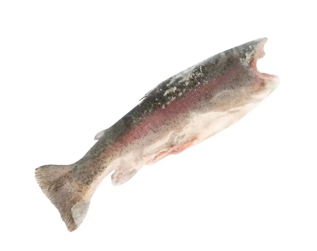 Форель тушка свежезамороженная