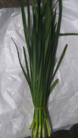 .Джусай(местный) пучок