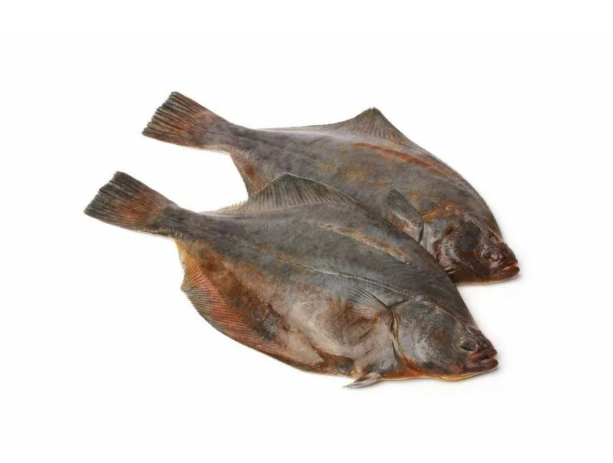 Камбала свежезамороженная
