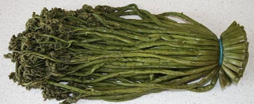 Папоротник соленый. /1кг