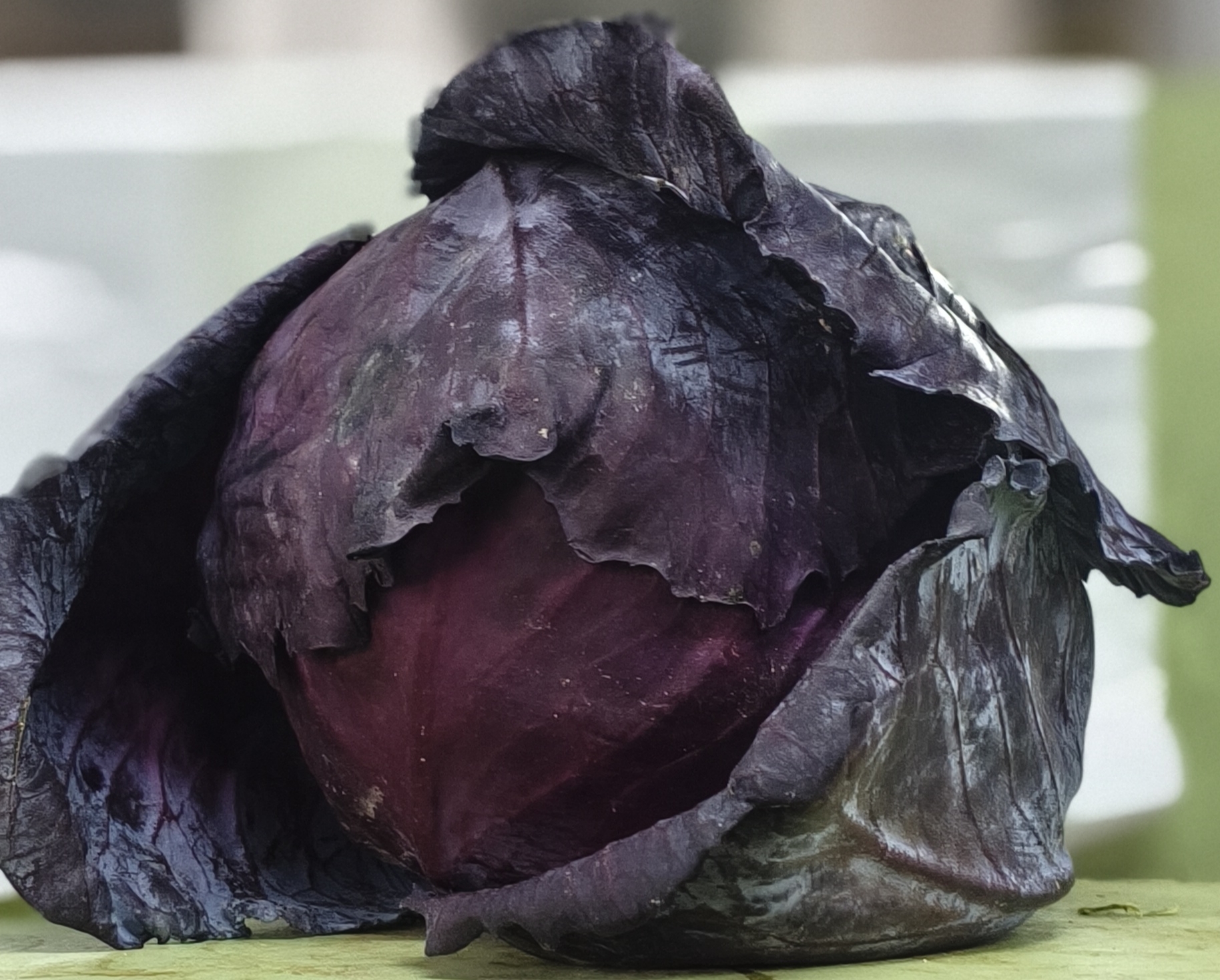 Капуста Красная. Цена указана за 1кг