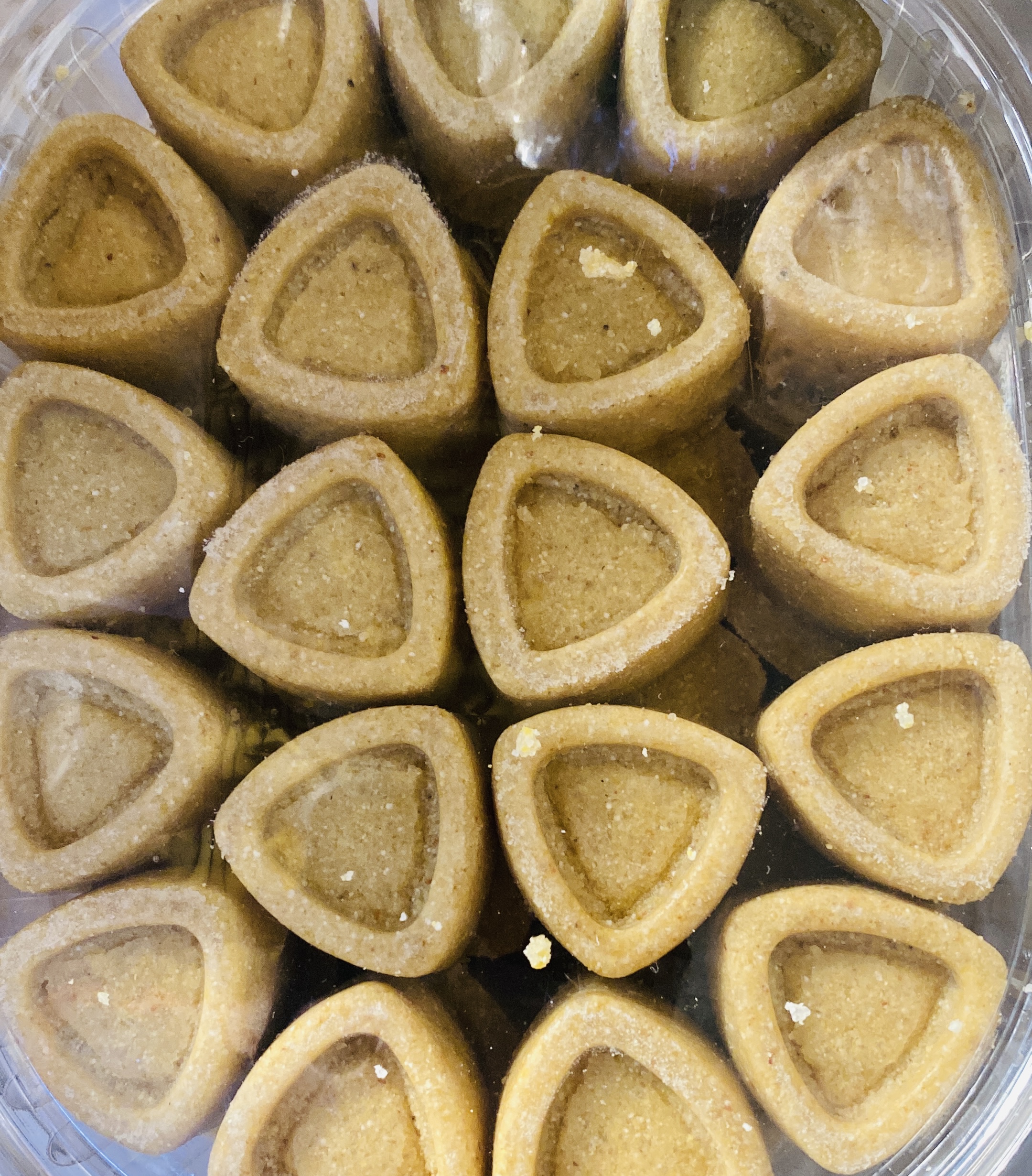 Жент обычный домашний