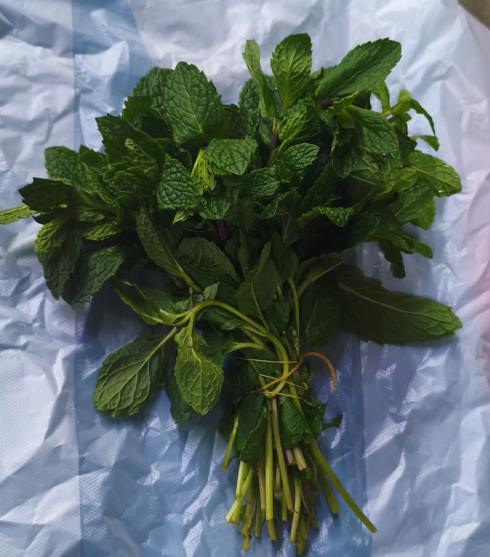 .Мята (пучок)