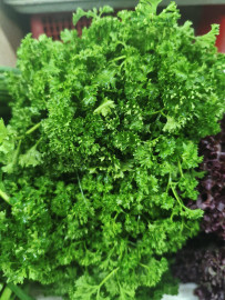 .Петрушка кудрявая. 200гр