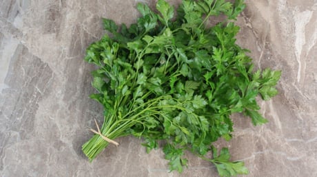 .Кинза(пучок)