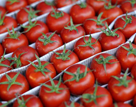 Помидоры бакинские(мелкие) цена указана за 1кг