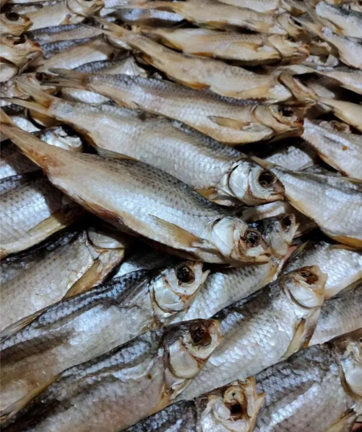 Вобла вяленная Атырау