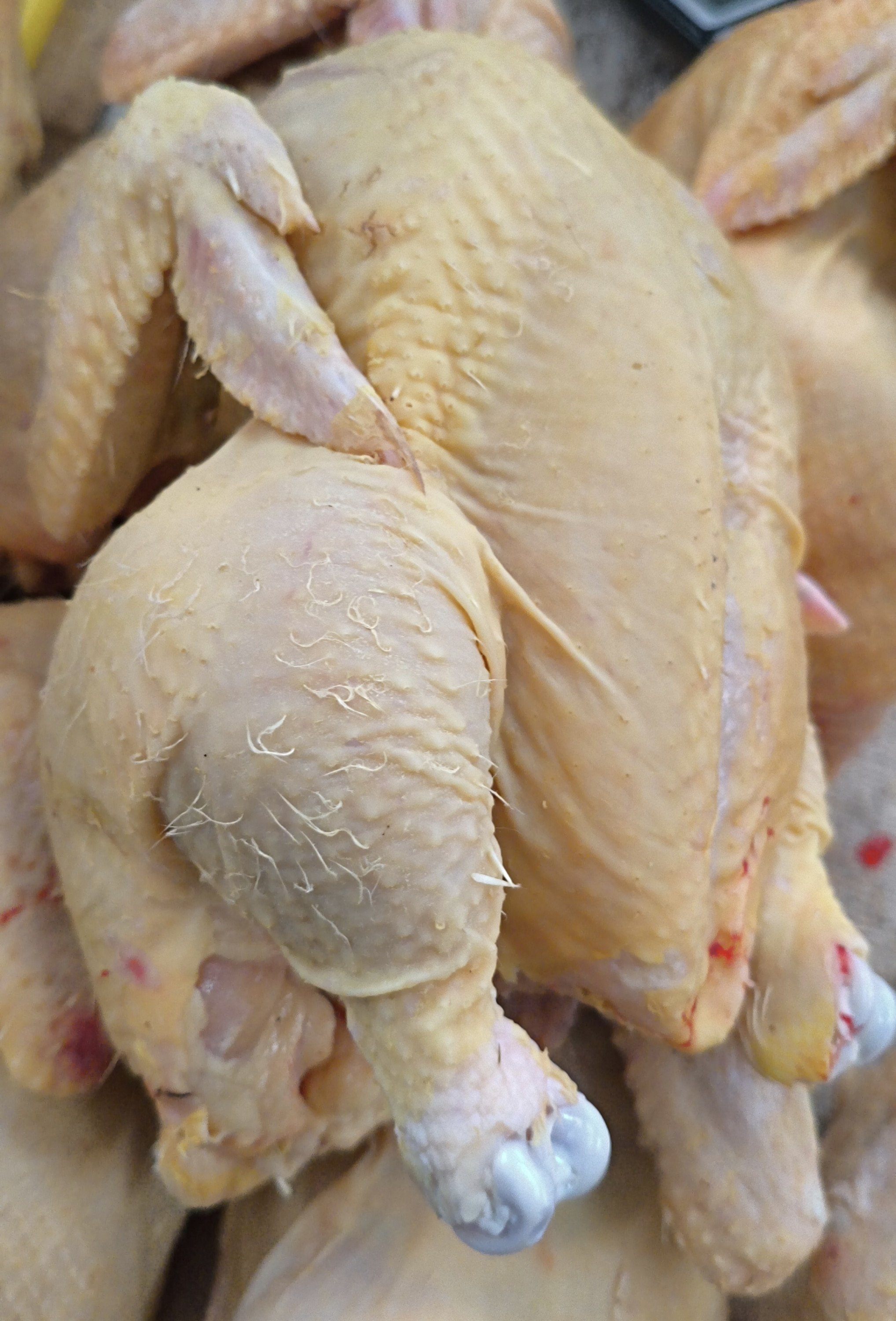 Домашняя курица (выращенная на кормах)вес~2кг. Штучно