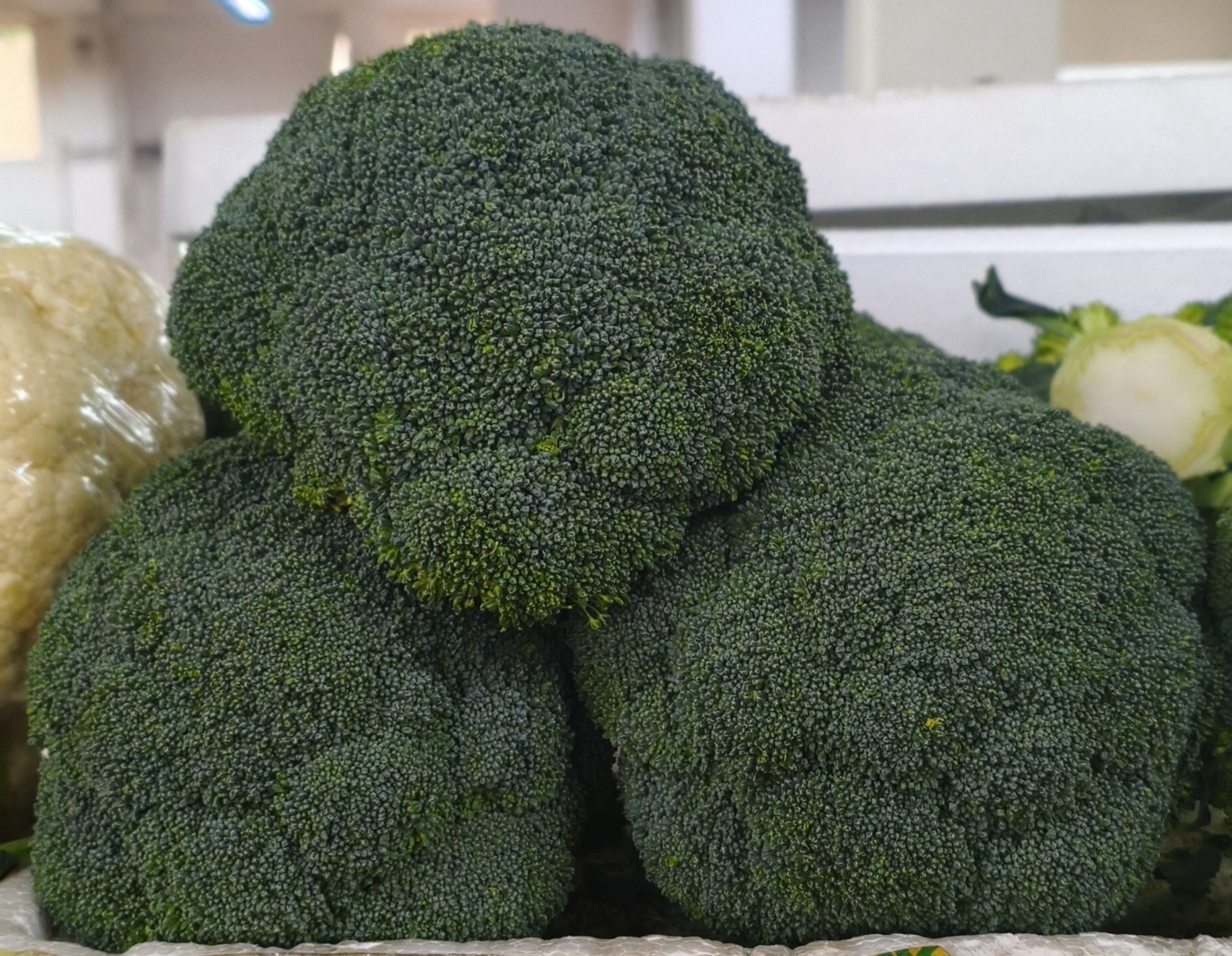 Брокколи. Цена указана за 1кг