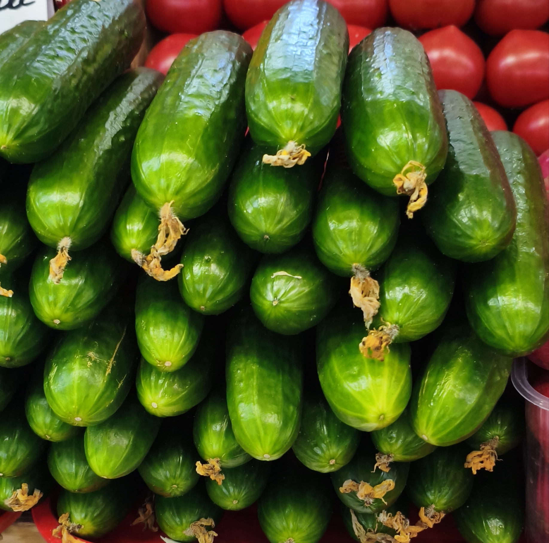 Огурцы Рава(Капачагай)./1кг