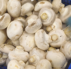 Грибы шампиньоны крупные./0.500гр