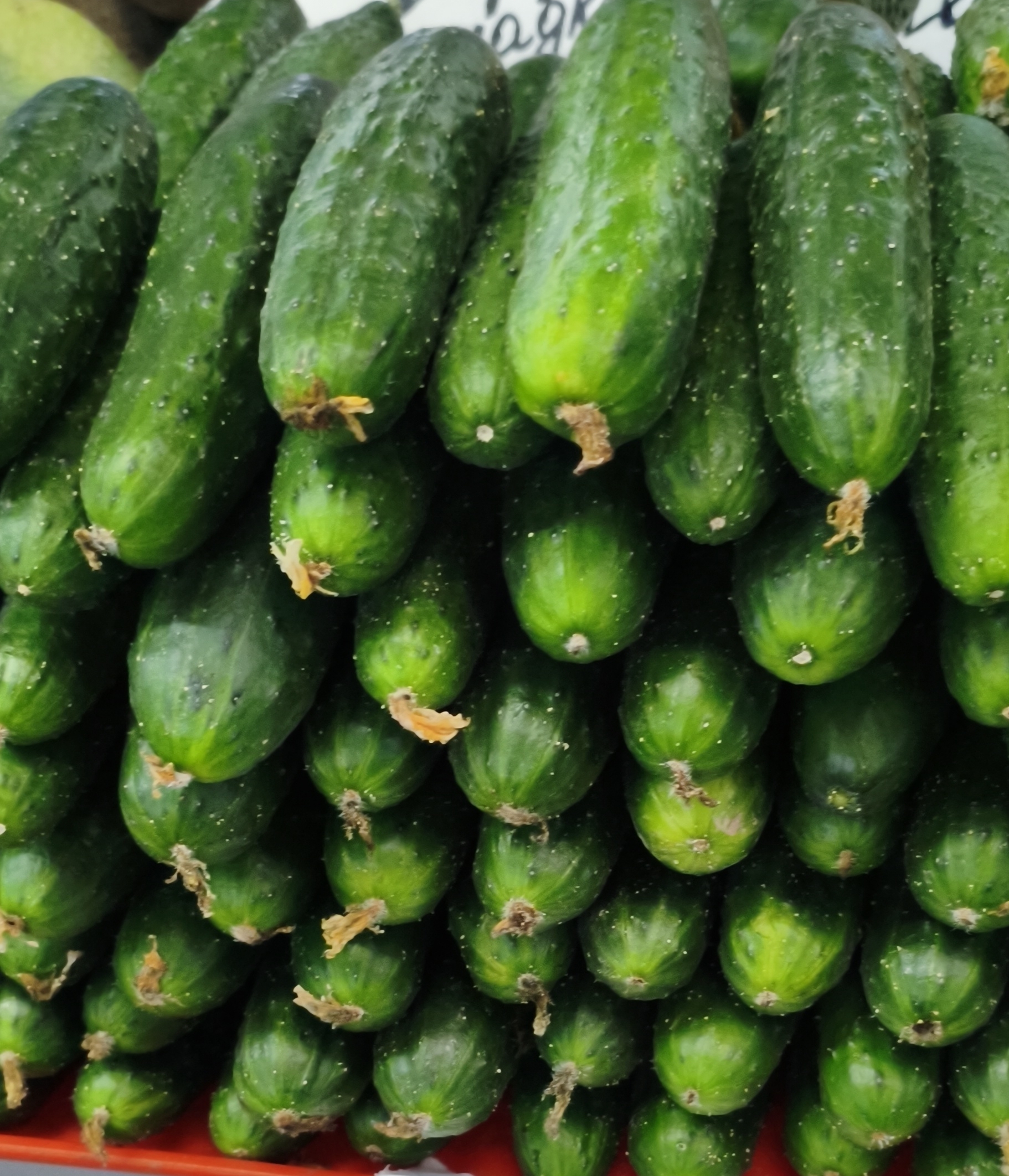 Огурцы корнишоны (Грэс). Цена указана за 1кг