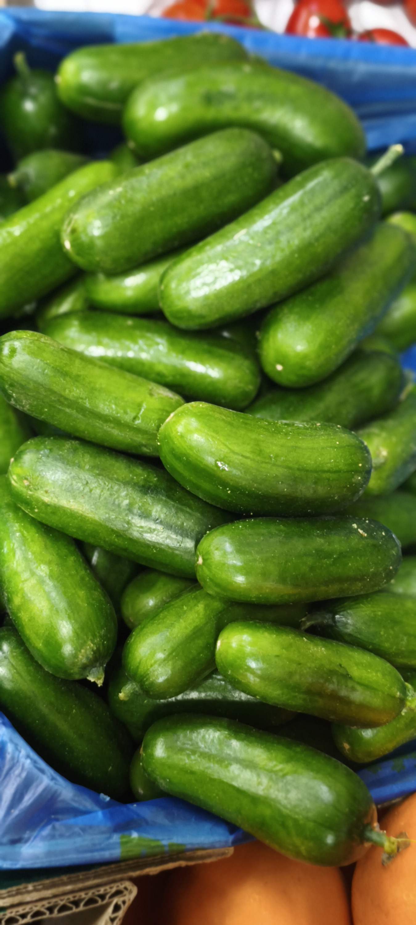 Огурцы Бакинские. Цена указана за 1кг