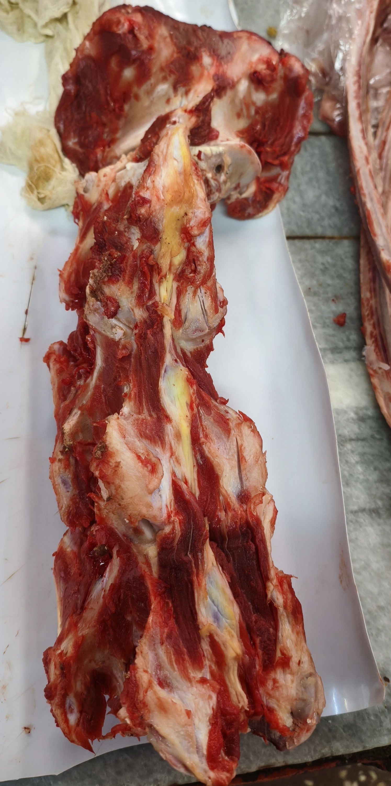 Кости. Обрезь. Цена указана за 1кг