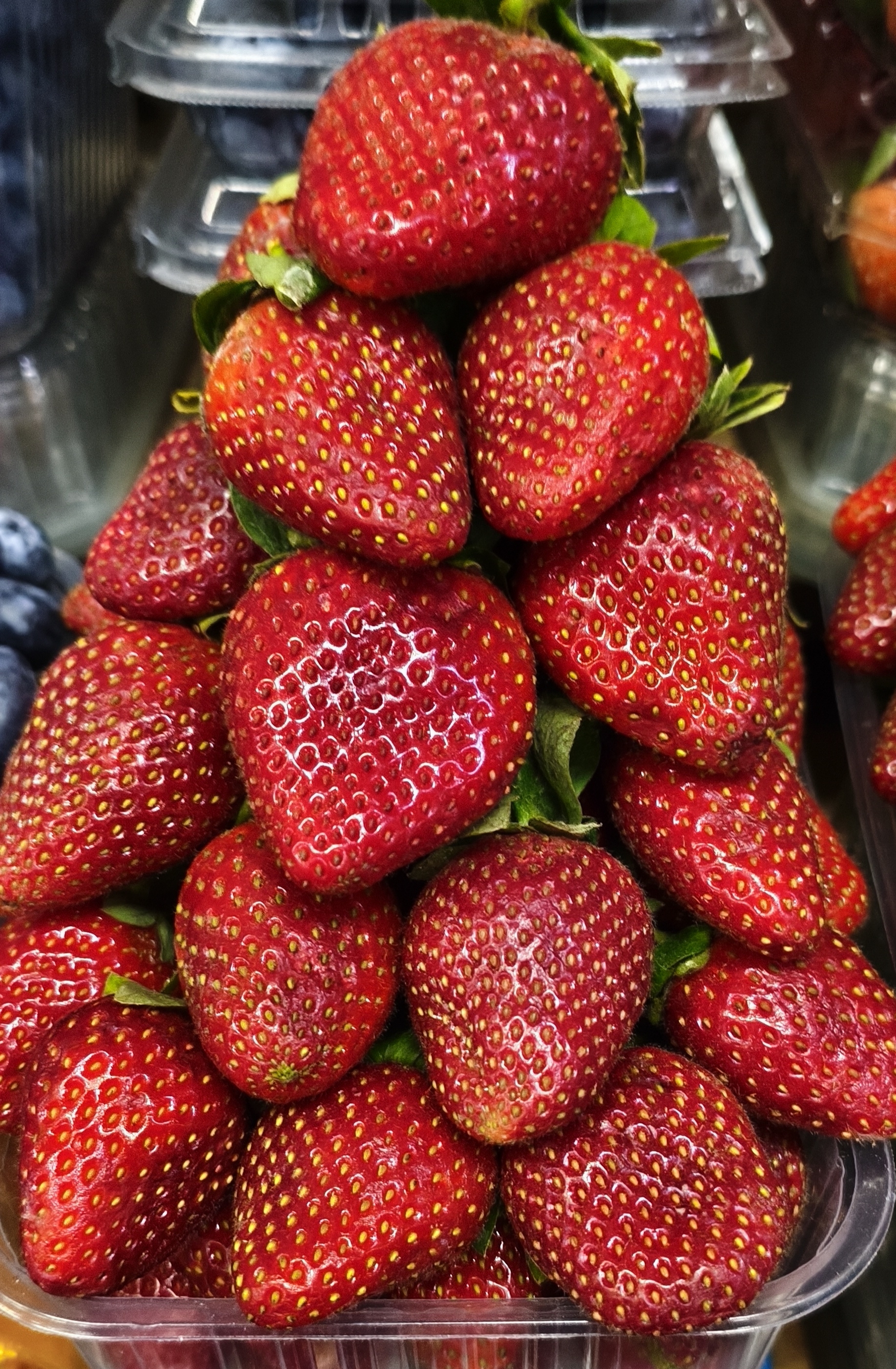 Клубника сарыагаш. 0.500гр