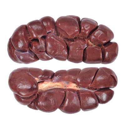 Почки говядина. Шт