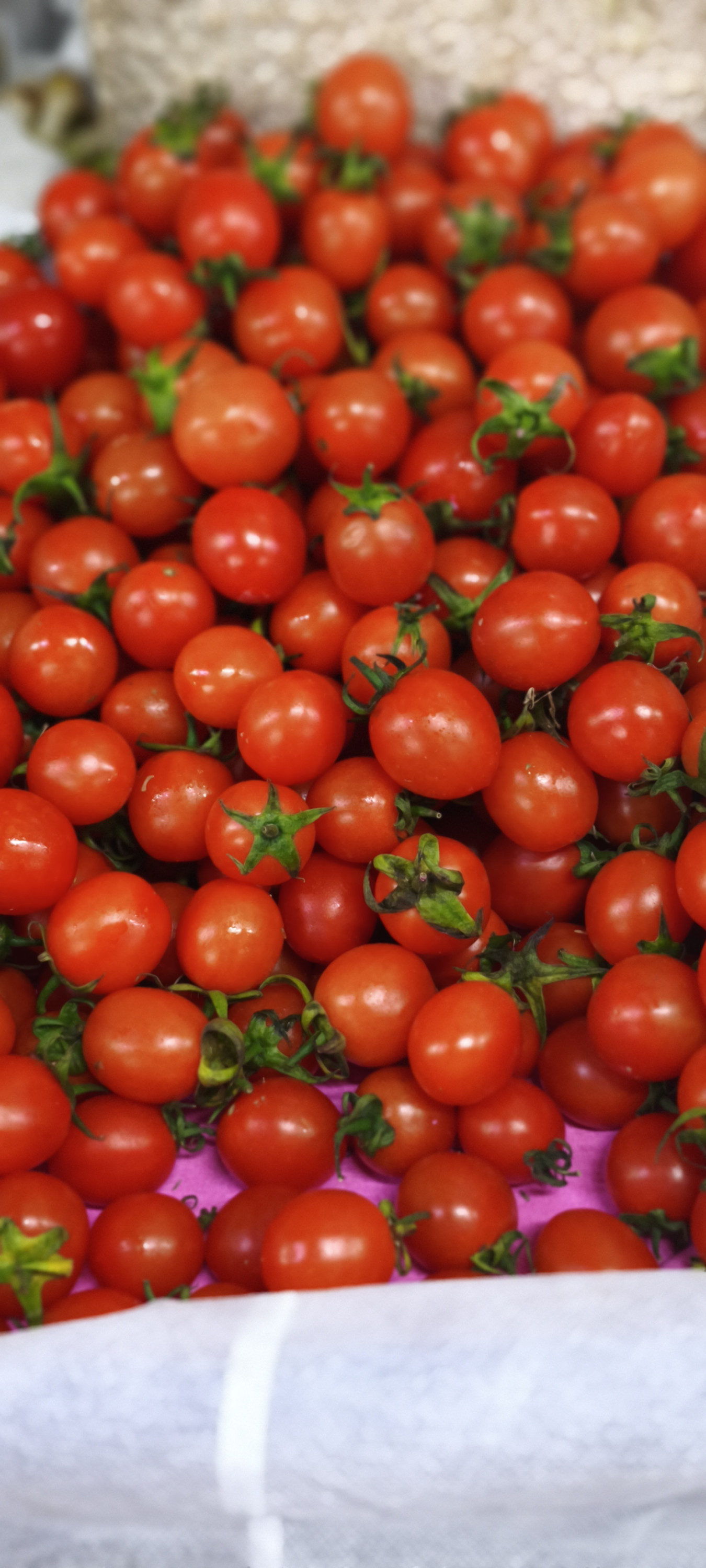 Помидоры черри Китай. Цена указана за 1кг