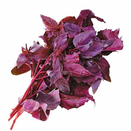 Базилик красный. Пачка (30~40)