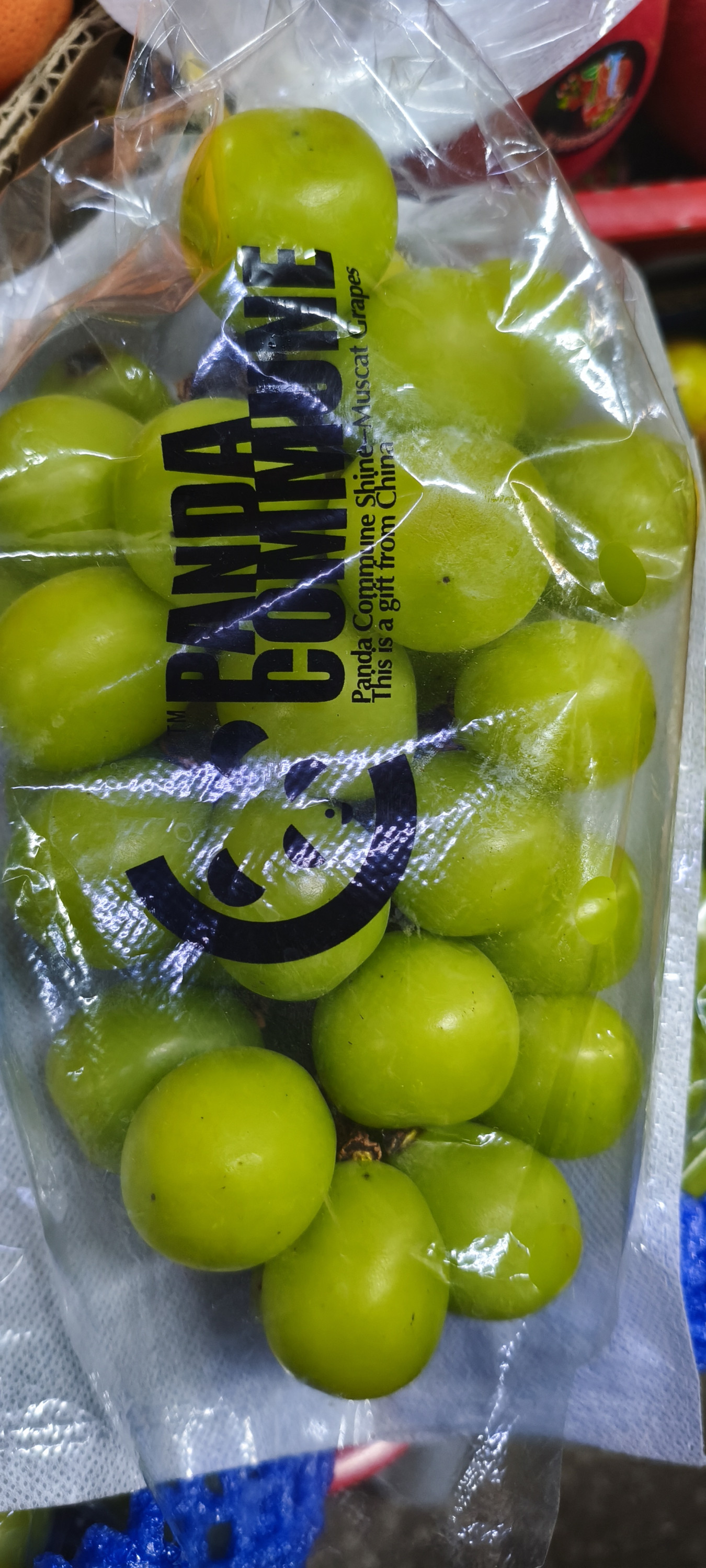 Виноград Shine-Muskat