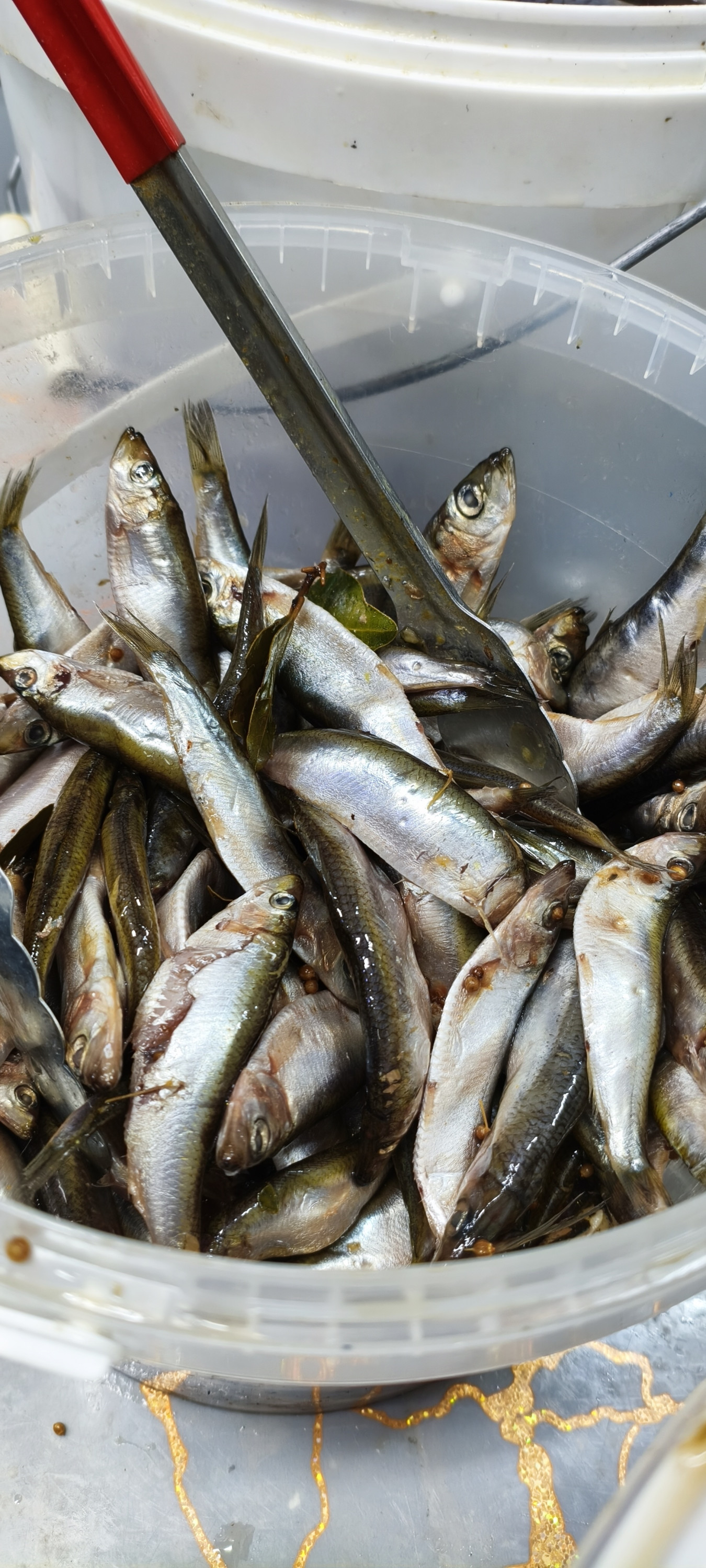 Килька ( пряного посола). Цена указана за 1 кг