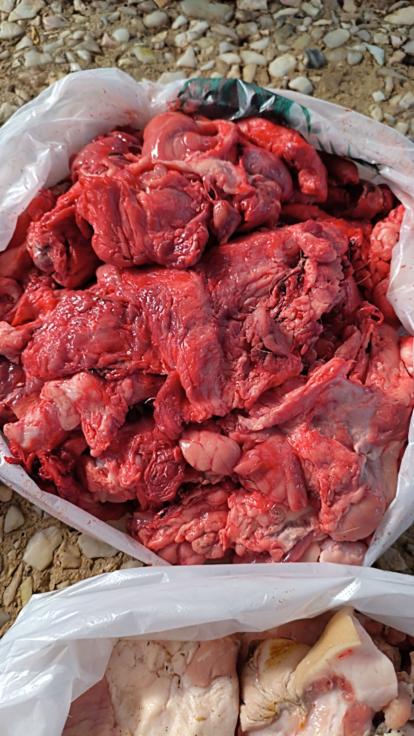 Обрезка свиная вес