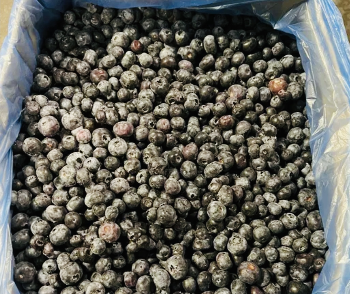 Замороженная Голубика пачка 300гр