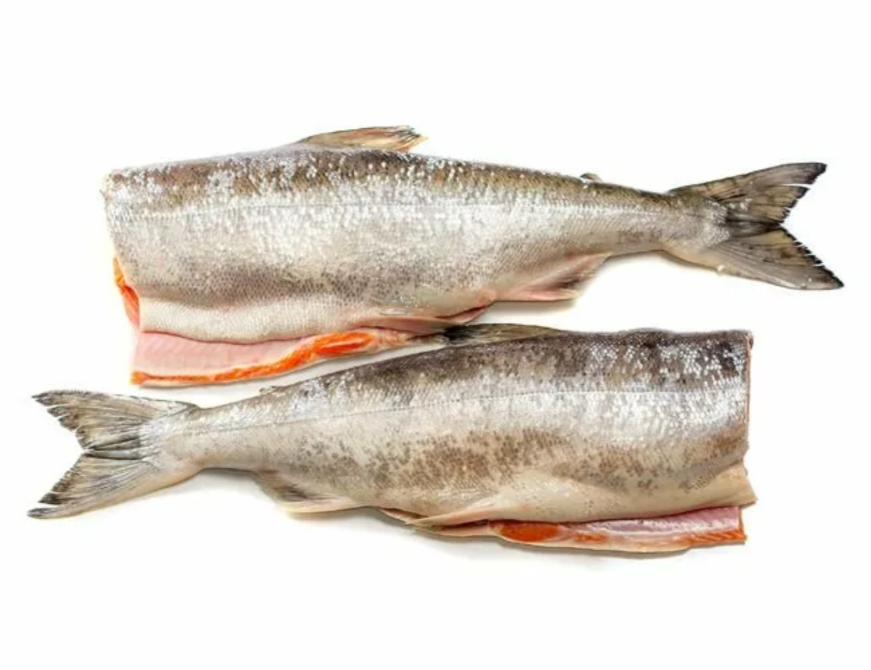 Кета свежезамороженная