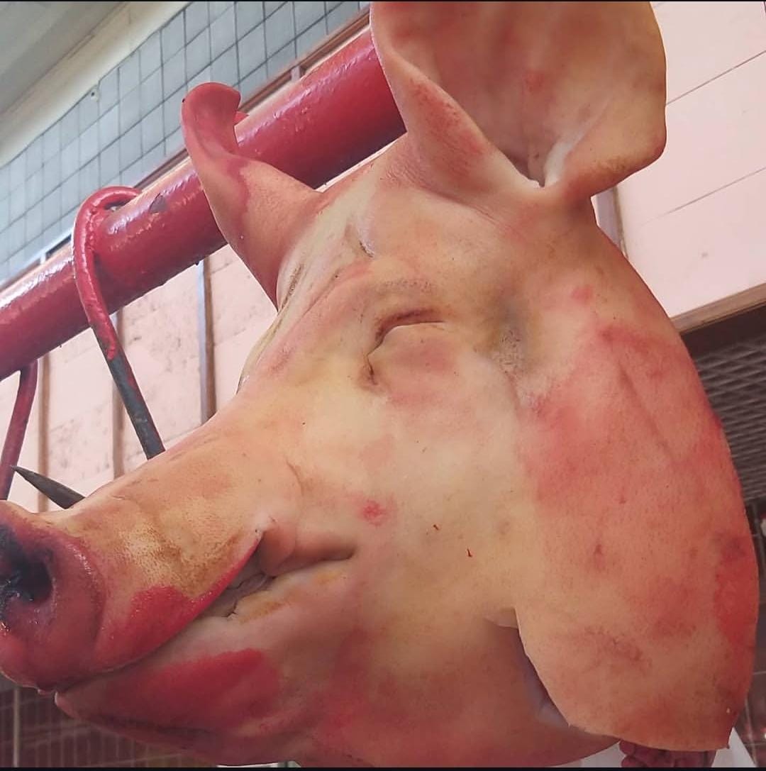 Голова свиная от 6кг