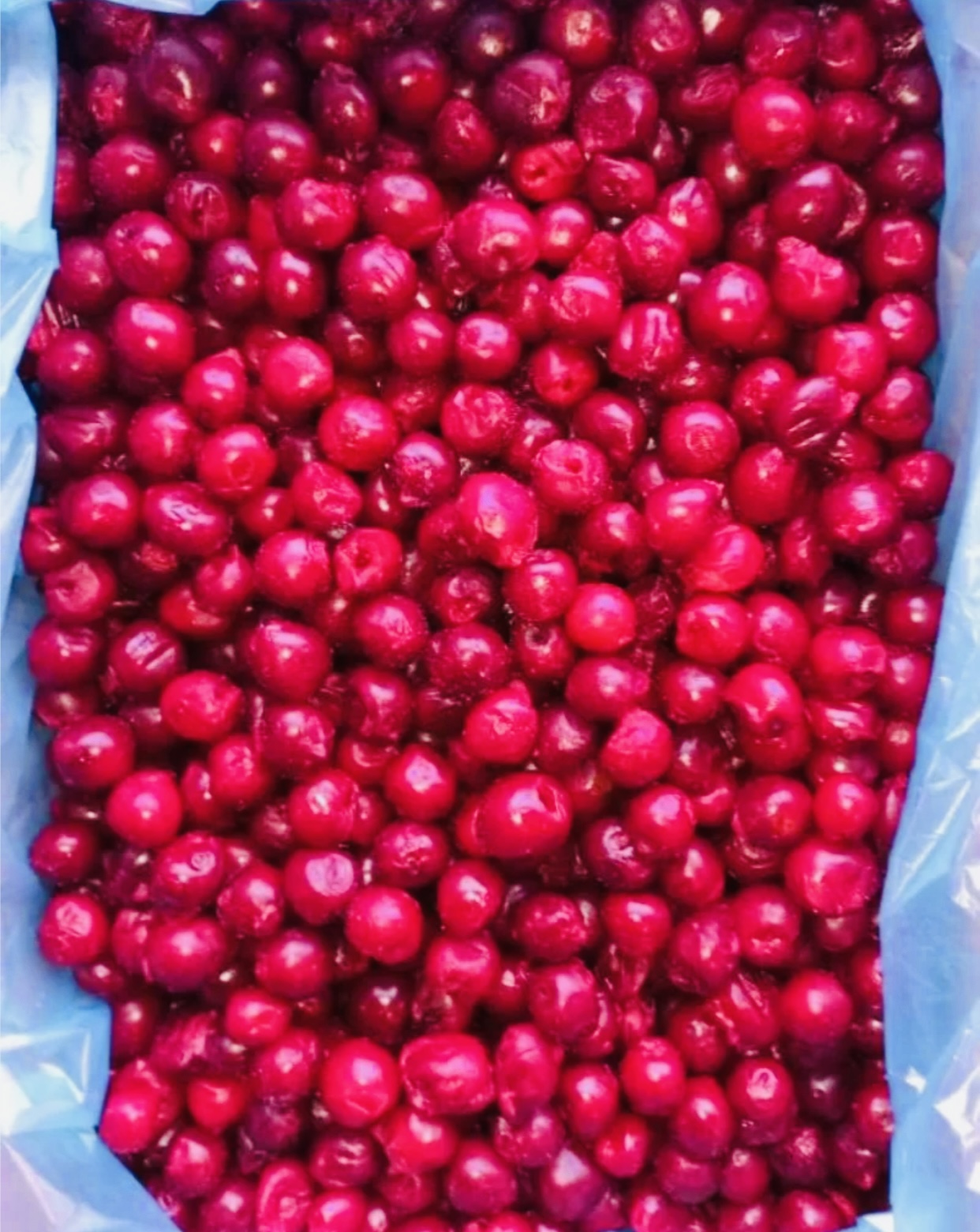 Замороженная Вишня без косточек пачка 300гр