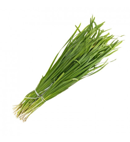 .Джусай(местный) пучок