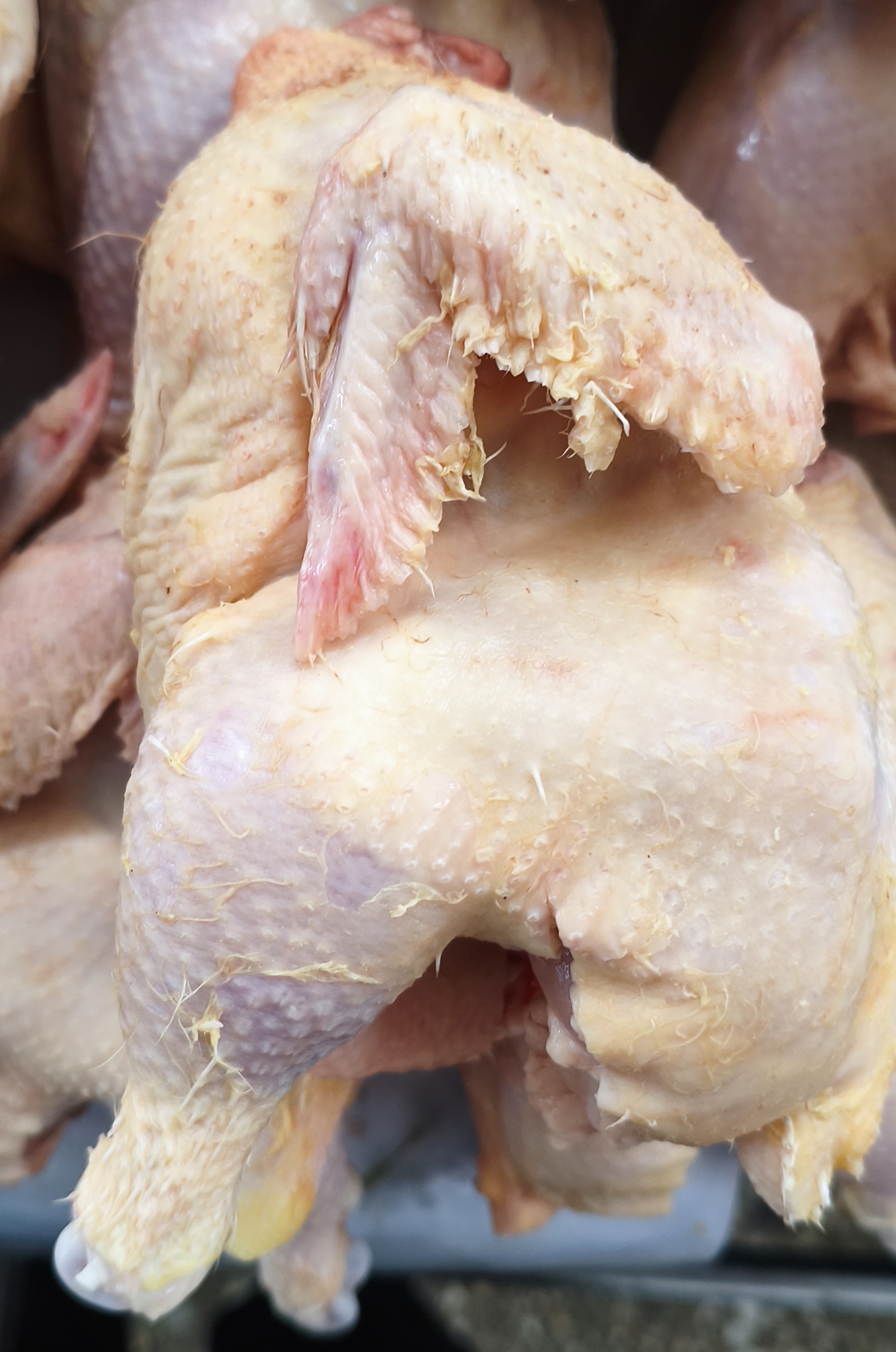 Домашний цыпленок (корнишон). Вес ~600-800гр. Шт