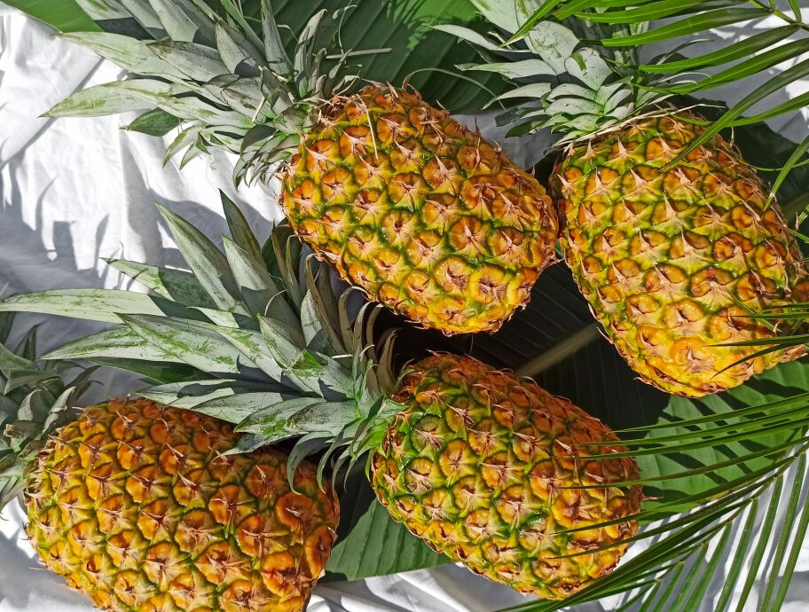 Ананас "Gold"