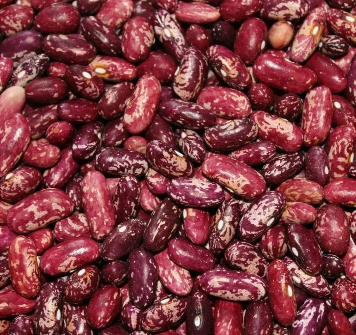 Фасоль красная 1кг Казахстан