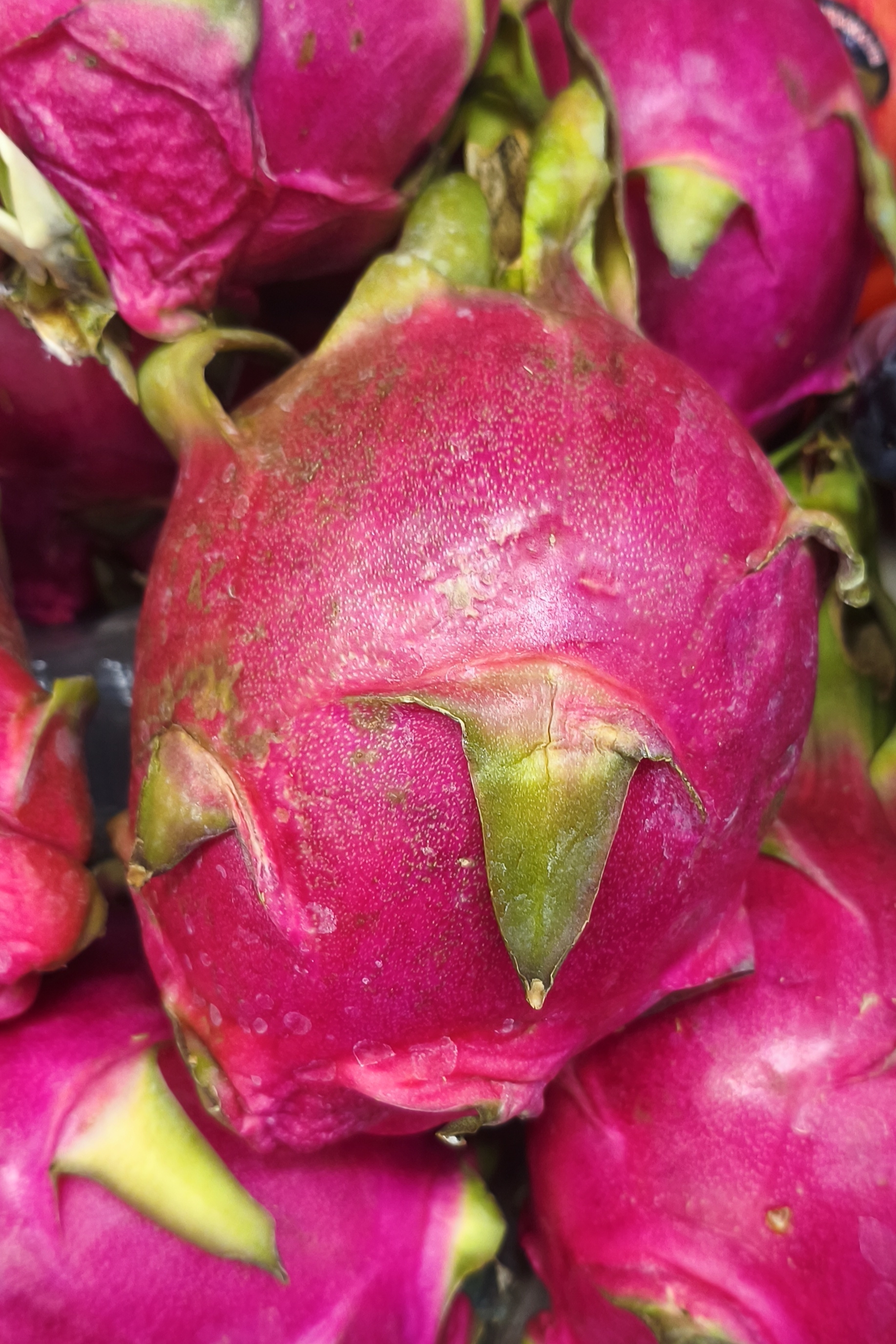 Питахайя шт