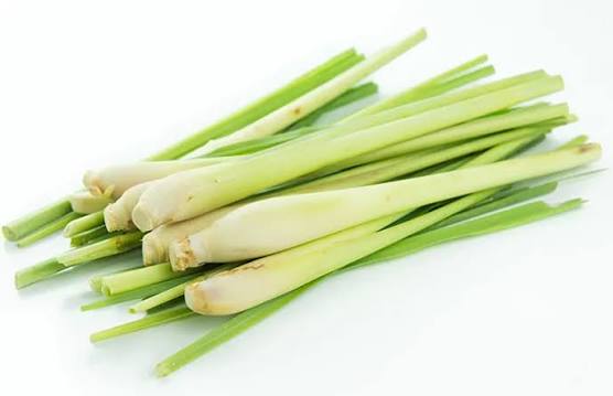 Лемонграсс. Цена указана за 1кг