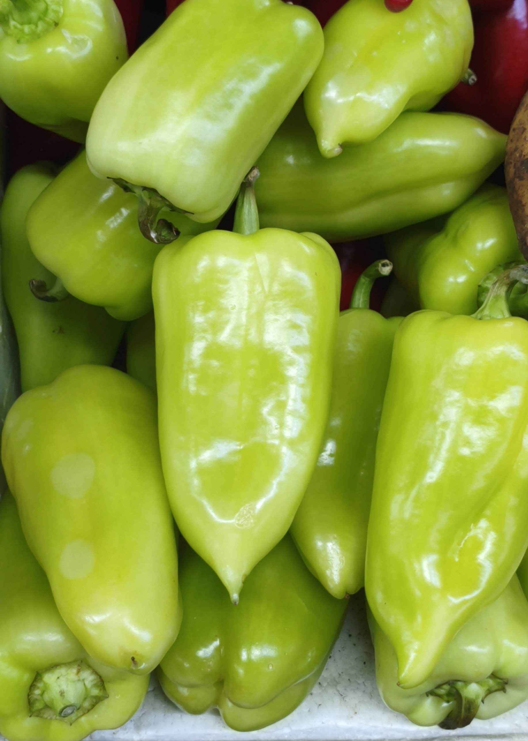 Перец сладкий ласточка. Цена указана за 1кг