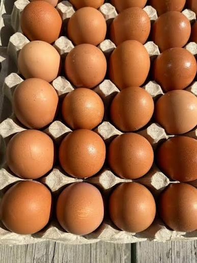 Яйцо куриное домашнее 10шт