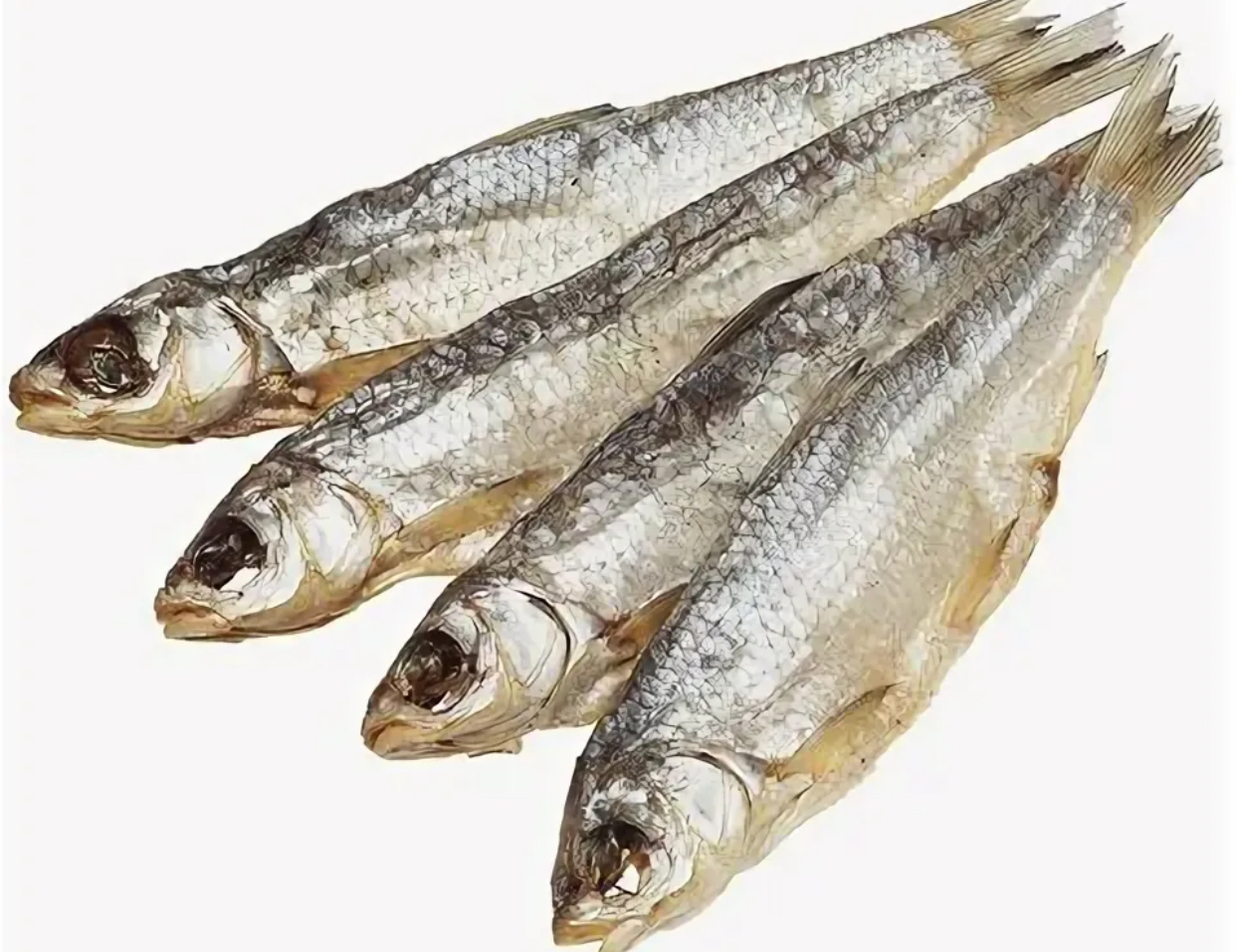 Вобла Балхаш